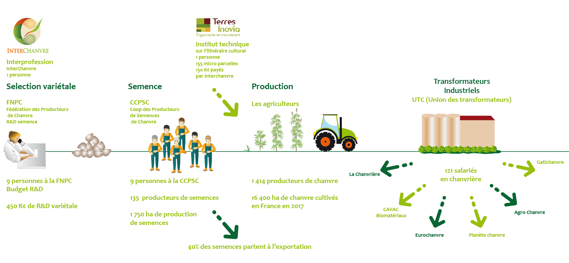 Chanvre - Histoire, culture et séchage du chanvre - DryGair