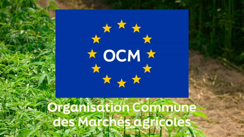 Organisation Commune des March&eacute;s agricoles (OCM)