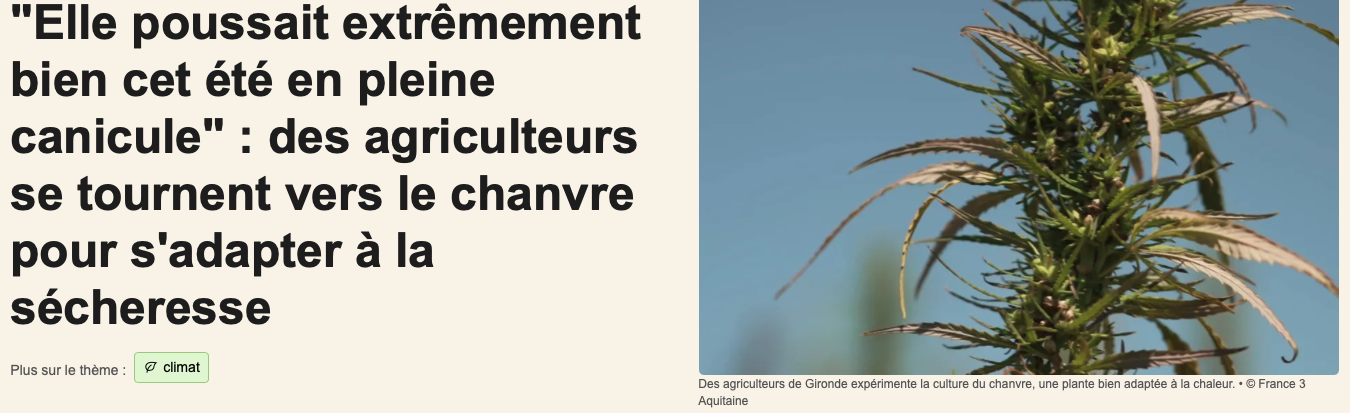 France 3 Régions Nouvelle-Aquitaine