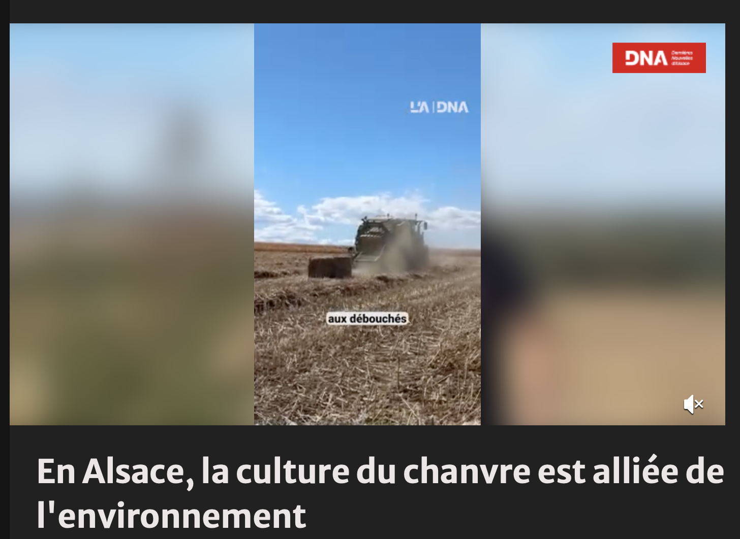 Dernières Nouvelles Actives