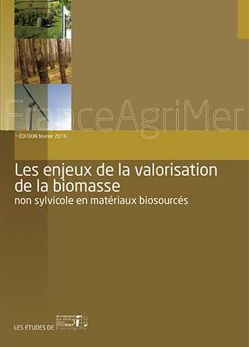 Les enjeux de la valorisation de la biomasse