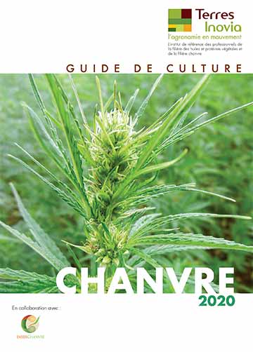 Guide de culture du chanvre - Terre Inovia